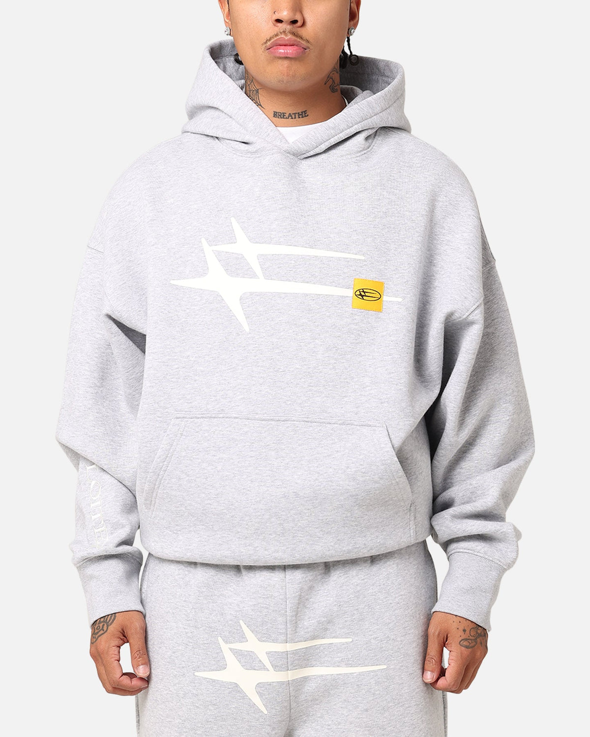Hooded Sweatshirt with Printed Graphics and Embroidered Sleeve Accents, Gray Marle