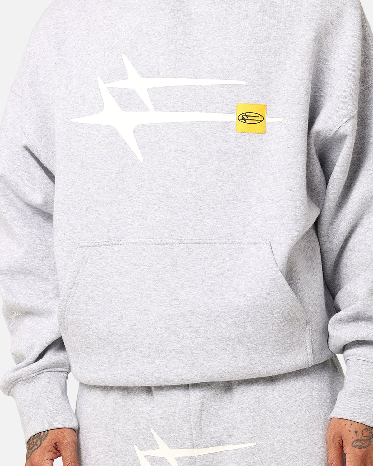 Hooded Sweatshirt with Printed Graphics and Embroidered Sleeve Accents, Gray Marle